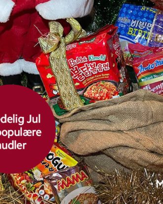 Den Ultimative Nudel julekalender gave (24 nudler)