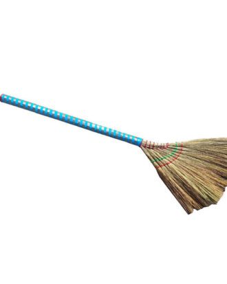 Asiatisk fejekost broom (Choi Ba Lai)