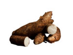 Cassava Yuca rodknold  2 kg. (Manihot esculenta)