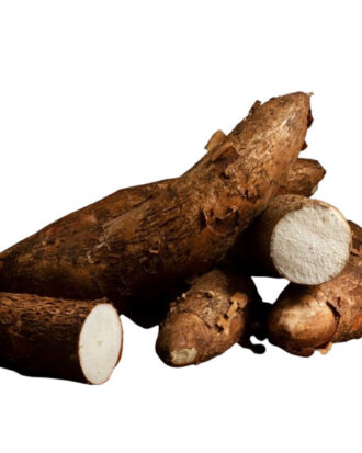Cassava Yuca rodknold  2 kg. (Manihot esculenta)