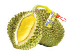 Durian frugt frost 1,5-2,5 kg.