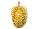 Durian frugt frisk fra Thailand 2 kg.
