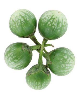 Thai eggplant aubergine 200 g.