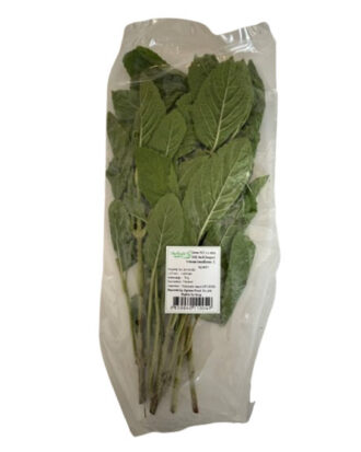 Thai Holy Basil (Hellig Basilikum) 70 g.