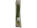 Thai springløg (scallion spring onion) 80 g.