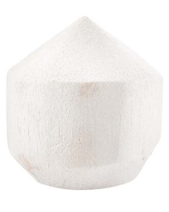 Frisk ung drikke kokosnød 100% kokos