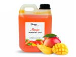 Frugtsirup til Bubble Tea med mango smag 2 liter