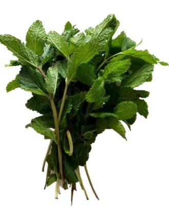 Mynte 50 g. (Mentha crispa L.)