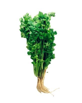 Koriander (Coriandrum Sativum) 100 g.