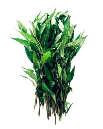 Vietnamesisk mynte (Rau ram - Trichodesma indicum) 70 g.